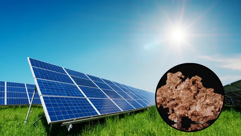 Minería y tecnología: el rol estratégico del cobre en la fabricación de paneles solares