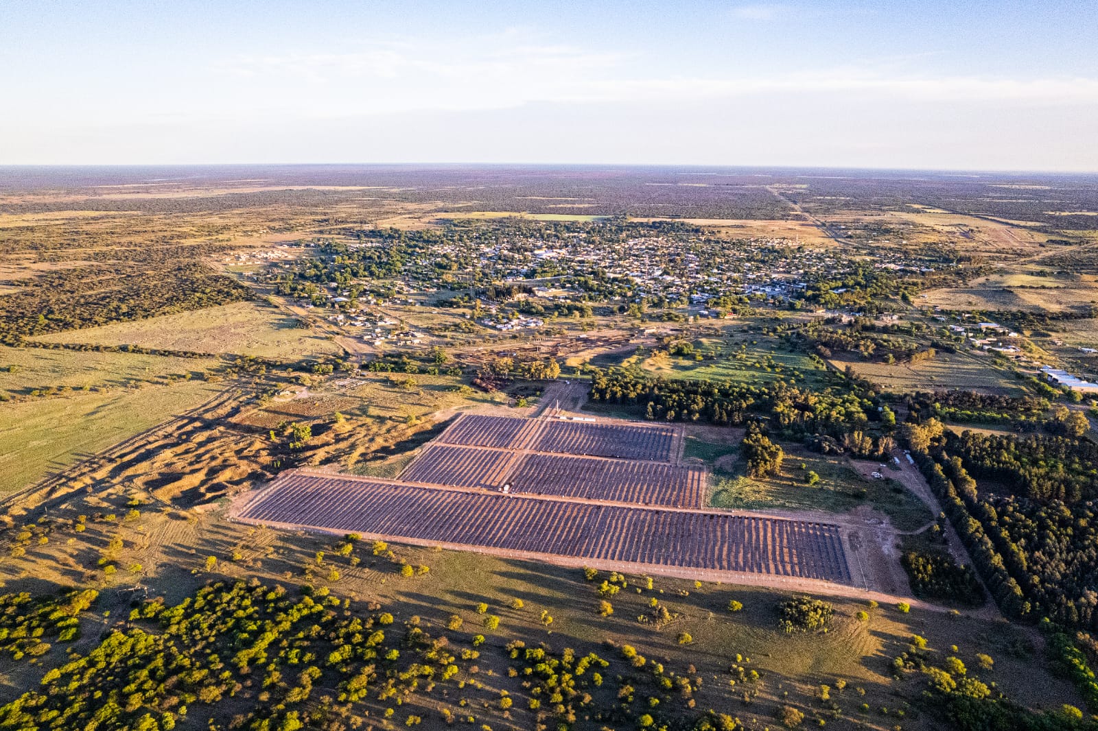 Parques solares, pistachos y software: la nueva cara del desarrollo pampeano