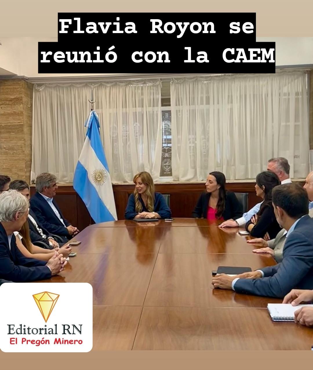 La secretaria Flavia Royon se reunió con la CAEM para fijar lineamientos de trabajo conjunto
