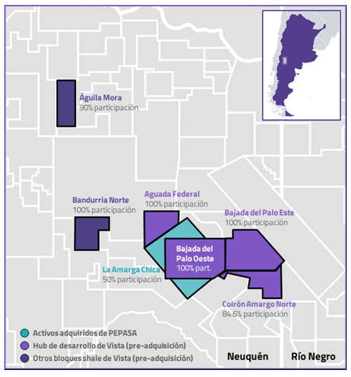 Vista compró activos de Petronas en Vaca Muerta