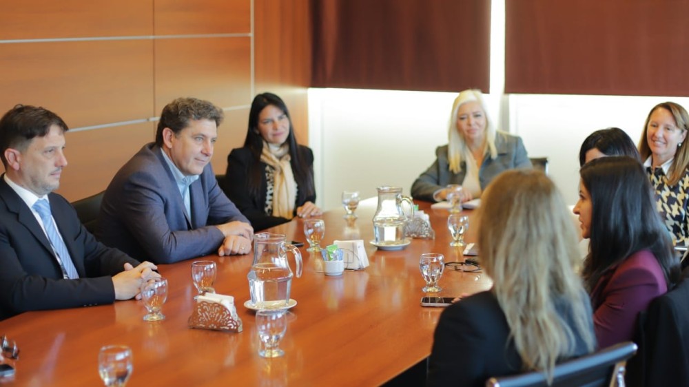 Los ministros de Producción y Minería de San Juan recibieron a representantes de WIM Argentina