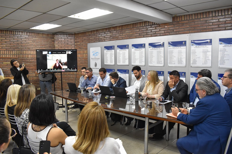 Inició el tratamiento de los proyectos de Regalías Mineras, Fondo de Compensación Ambiental y de las DIAs de PSJ y MDMO II