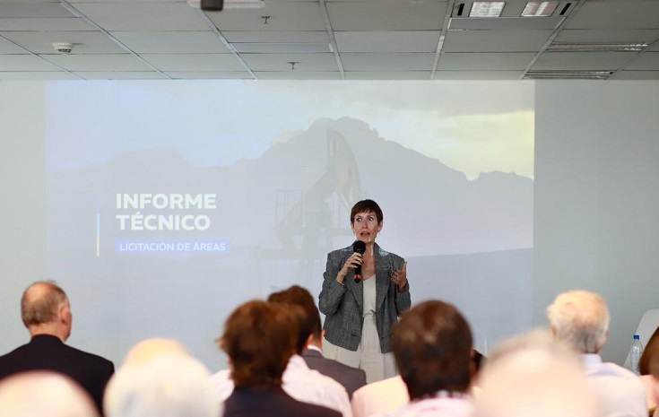 Latorre presentó en el CFI la licitación de las 17 áreas hidrocarburíferas de la provincia